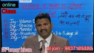 online classes in veterinary medicine l veterinary surgery l veterinary treatment l dr umar khan