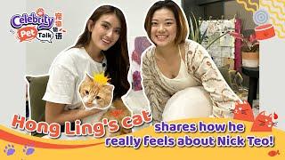 Celebrity Pet Talk EP2 - Hong Ling's cat shares how he really feels about Nick Teo