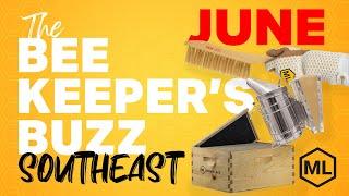 The Beekeeper's Buzz Southeast Region: June 2025
