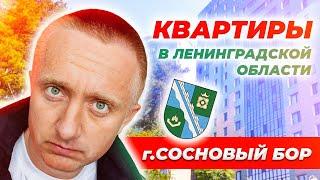 Цены на квартиры в Ленинградской области. Город Сосновый Бор.