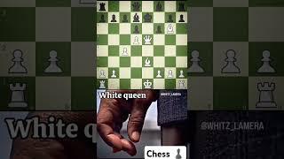 Blundered the Queen? Nah… baited your brain.️#chess#viral#subscribe#share#rook#chessmemes#hikaru