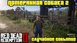 Прохождение RDR 2 на 100% - Случайное событие 356: Потерянная собака 2 (Глава 6 - Бивер-Холлоу)