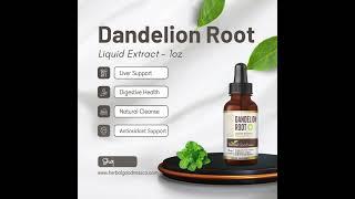 Looking for a Natural Liver & Digestive Detox? | Dandelion Root Liquid Extract