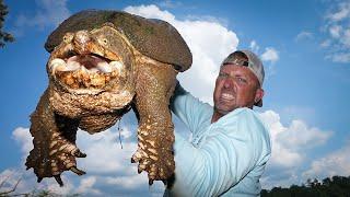 VERY SCARY TURTLE {Catch Clean Cook} snapping Turtle that’s fast as Lightning!