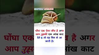 #81 facts9uru | new short video | motivational video #shorts #trending #motivation