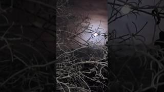 Eerie Blood Worm Moon (insert wolf howl)