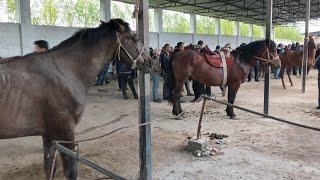 Samarqand viloyati Bulung'r tumani Oqtepam Mol qo‘y ot bozori