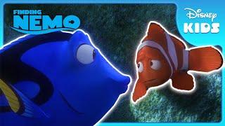 Just Keep Swimming!  | Finding Nemo | Disney Kids