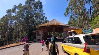 "Discovering Entoto Park: A Hidden Gem In Ethiopia"