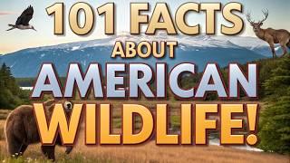 101 Unbelievable Animal Facts You Won’t Believe!