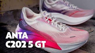 Anta C202 5 GT | Full Review