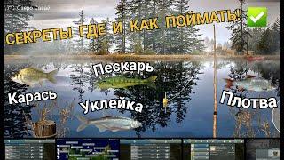 my fishing world - Карась, Плотва, Пескарь, Уклейка секреты где и как поймать