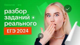 Разбор реального ЕГЭ по биологии 2024