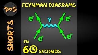 Can I Explain Feynman Diagrams In 60 Seconds? #shorts