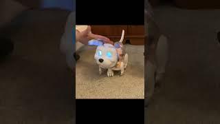 #short Furreal Makers Proto Max Robot Dogs - Big dog little dog personalities compared #robotdog