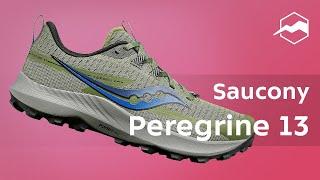 Кроссовки Saucony Peregrine 13. Обзор