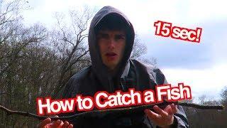 How to Catch a Fish (in 15sec)