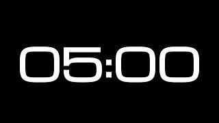 5 Minute Countdown Timer / NO SOUND