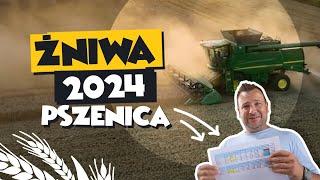 BARDOWSCY ŻNIWA 2024 - PSZENICA