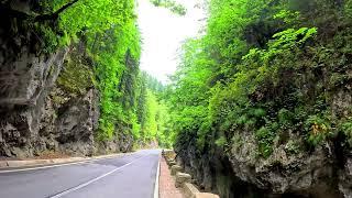 Stunning Békás-szoros / Bicaz Gorge Walking Tour: in Transylvania's Breathtaking Mountains | 4K