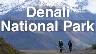 Denali National Park // Riding the Park Road