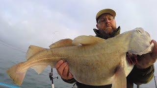 Giant Cod Fishing - Catch and Cook - Fish and Chips