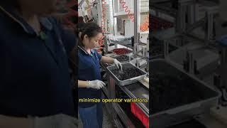 GDST Brake Cylinder Assembling Line