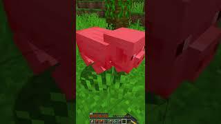 Minecraft But Block Drops Are Random... #shorts