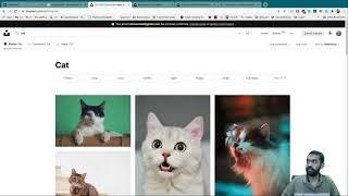 2.5 Unsplash Clone - API call