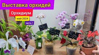 ВЫСТАВКА ОРХИДЕЙ в Москве! Орхидиум. Смотрим что привезли. Разговор с продавцами. Часть 1