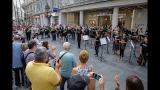 Iznenadni koncert Beogradske filharmonije na ulici - Muzika svuda!