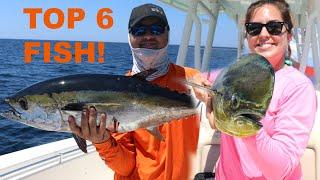 6 Top saltwater fish to EAT!