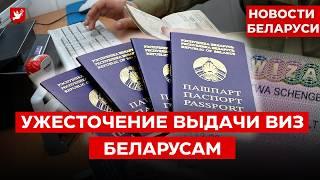 Новые правила для виз, важное о техосмотре, упреки Лукашенко, граница ЕС | Новости Беларуси