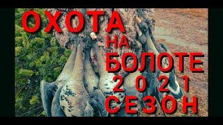 Охота на гуся. Осень. ХМАО. (2 часть)  #ОСЕННИЙГУСЬ #ОХОТАВХМАО