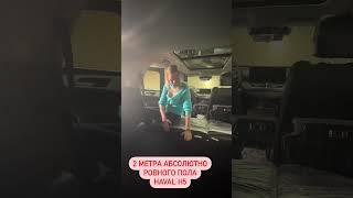 Можно спать в Haval? #shorts Лиса рулит