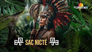 Conoce la cultura Maya en TuristikTv: Sac Nicté