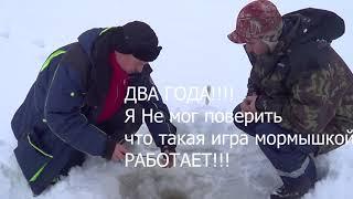 Как поймать окуня в глухозимье? на что и как клюет окунь в глухозимье?