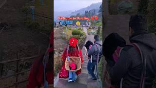 Darjeling Most Beautiful place in the world.#honeymoon #trip #husbandwifesong #shortvideo #viral