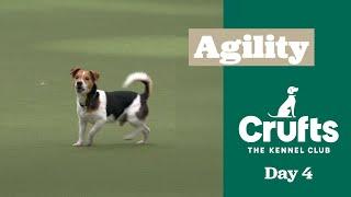 Rescue Dog Agility | ​Crufts 2025