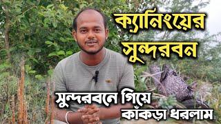 সুন্দরবনে গিয়ে কাঁকড়া ধরলাম | ক্যানিংয়ের সুন্দরবন | মাতলা নদী