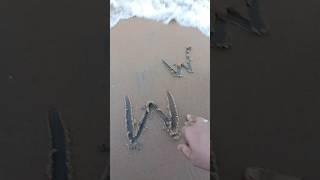 Sea Beach ️ Puri #beach #puri #odisha #samander #jagannathdham #travelvlog #imaginativeedge #shorts