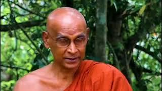 මම දැන් මෙතන...| Most Ven.Udairiyagama Dammajeewa Thero