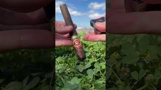 SMOKING A DELICIOUS ARTURO FUENTE CIGAR BY THE RIVER IN NEW ORLEANS ON A SUNNY DAY! #cigar #asmr