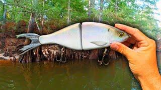 Hunting DOUBLE DIGIT River Bass in the Heat of Summer!!