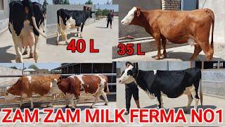 ZAM ZAM FERMA. YANGILIK 40 LITR SUTGA ️938038080 ️930025757