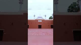 Do you know when the 21st Jalsa Salana occurred? #shorts
