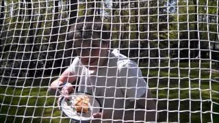 Nick Cage Wants Cake: Fan Redux