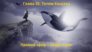 Тотем КОСАТКА. Глава 35. Энциклопедия "Всё о Шаманизме". Прямой эфир + Медитация. Шаман С. Попроцкий