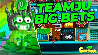 #TEAMJU BIG BETS  100BGL BET  - Growtopia Casino