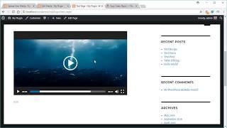 Easy Video Player Plugin for WordPress